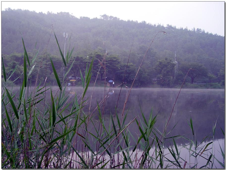 20050617_52.jpg