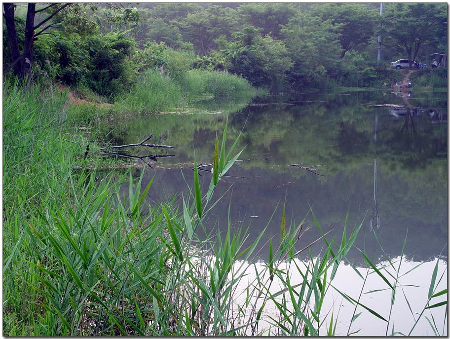 20050617_71.jpg