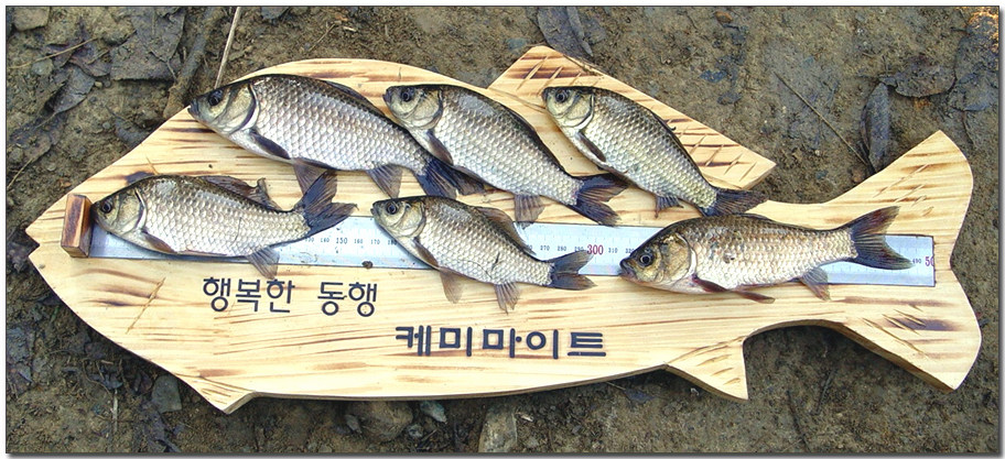 DSC03095.jpg