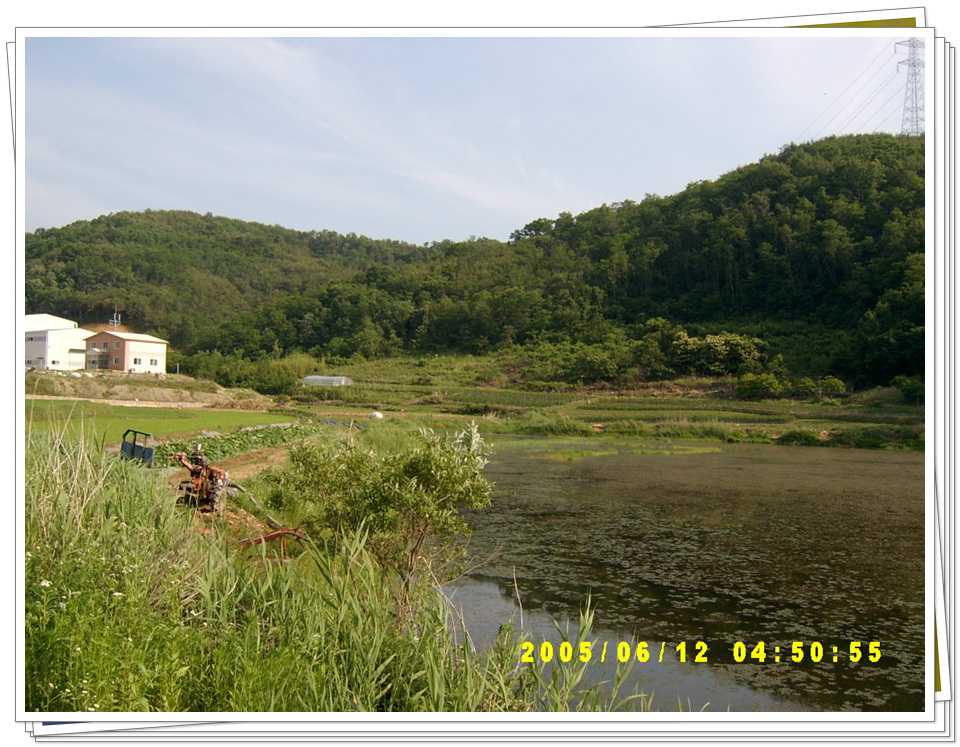 s20.jpg