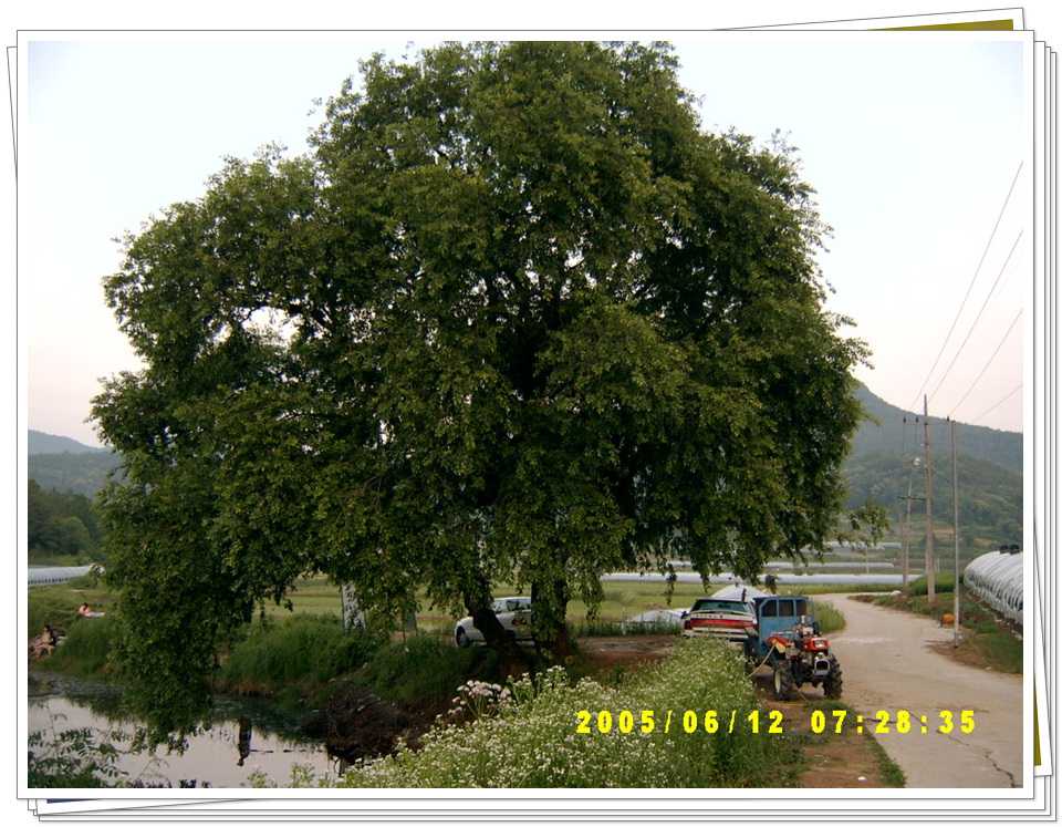s29.jpg