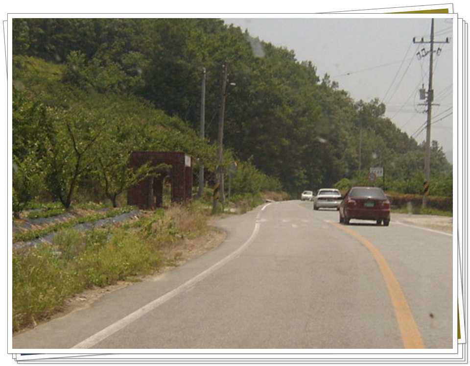 s44.jpg