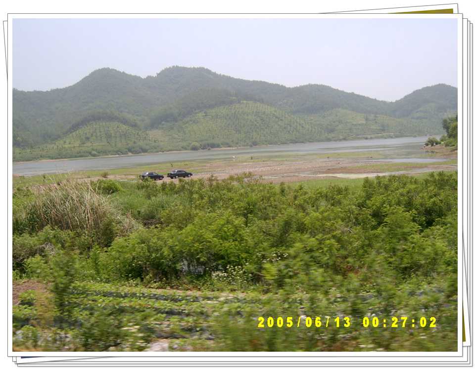 s46.jpg