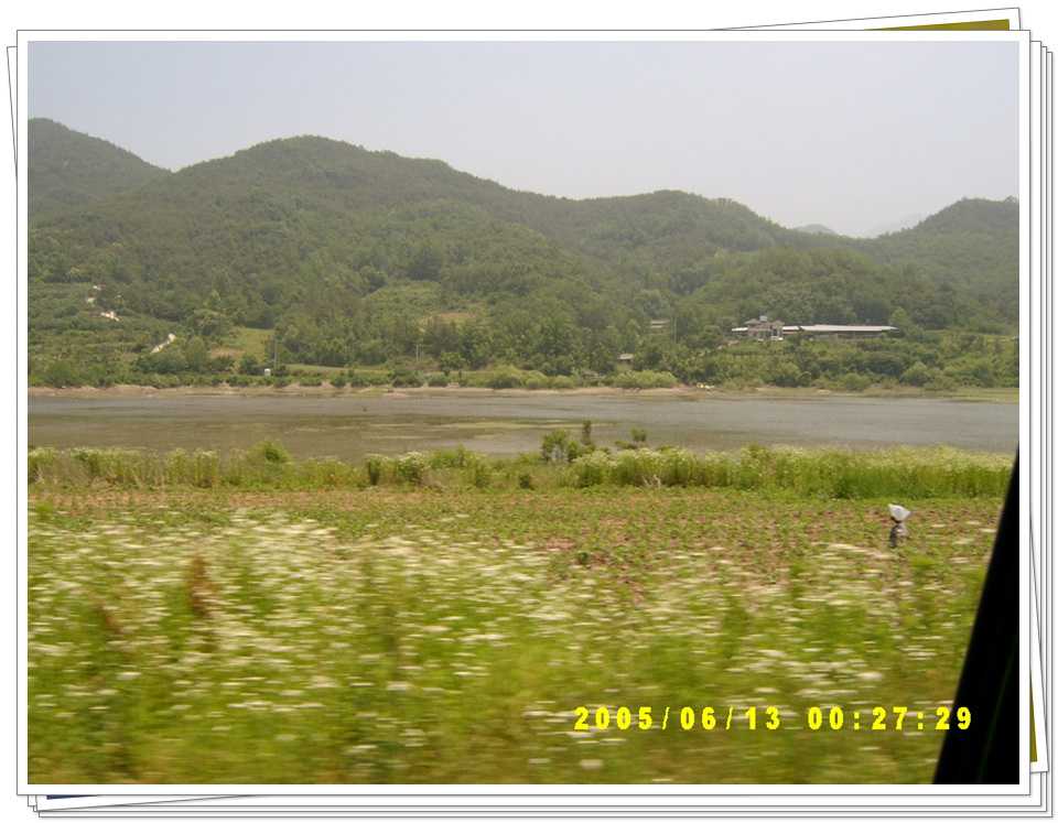 s48.jpg