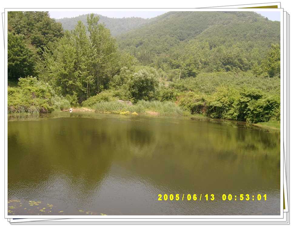 s50.jpg