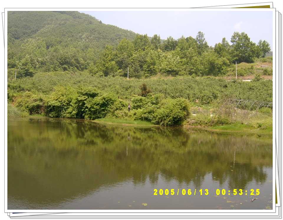 s53.jpg
