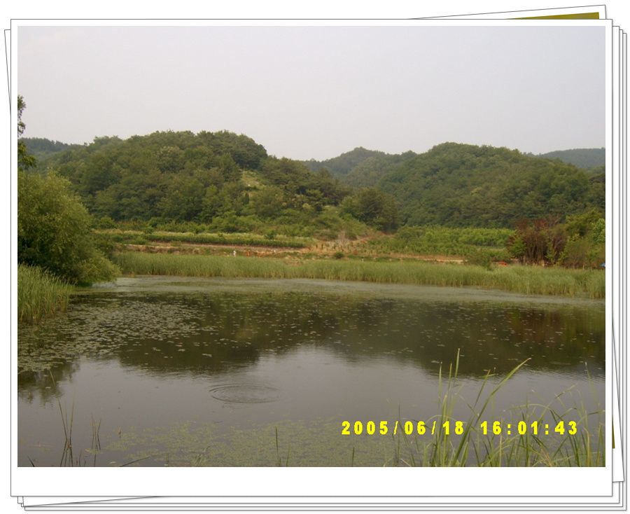 050620.jpg