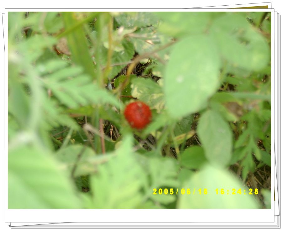 050623.jpg
