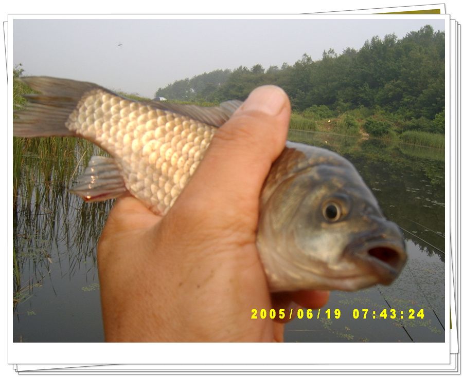 050629.jpg