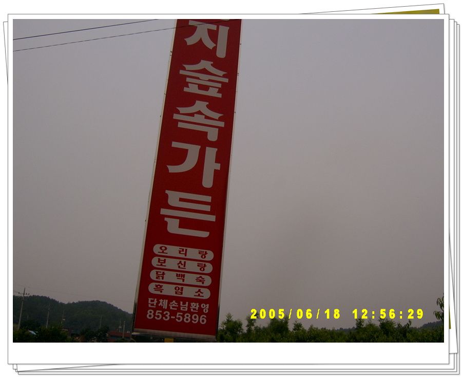 050643.jpg