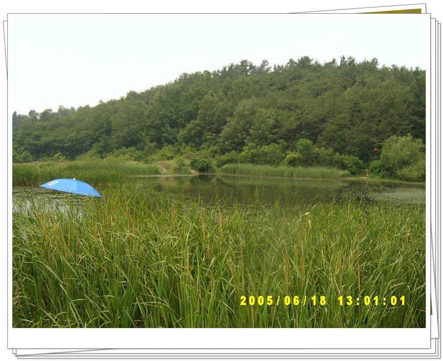 050647.jpg