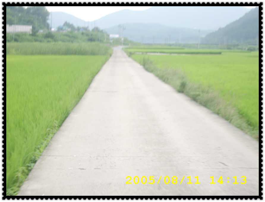 STA70191.jpg