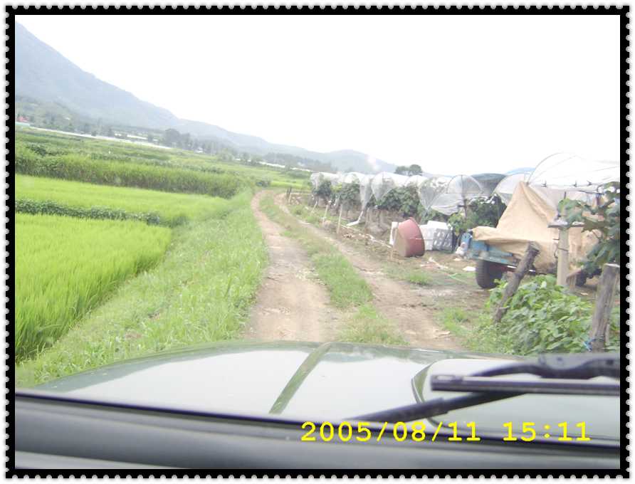STA70200.jpg