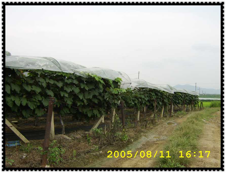 STA70206.jpg