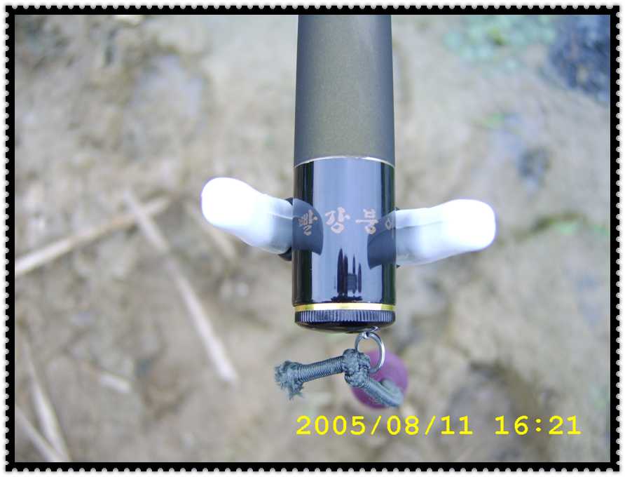 STA70209.jpg