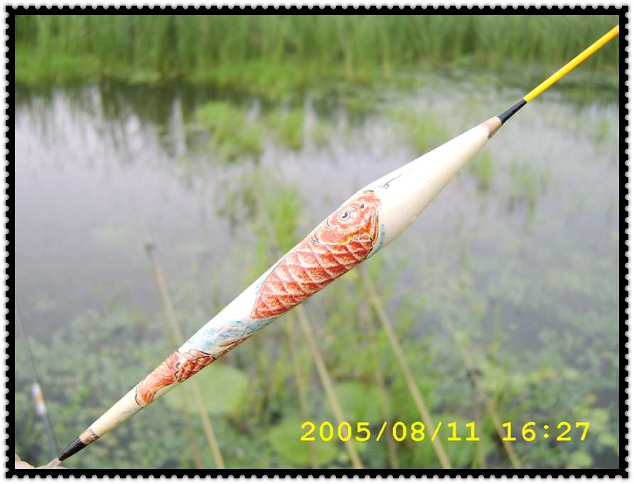 STA70215.jpg