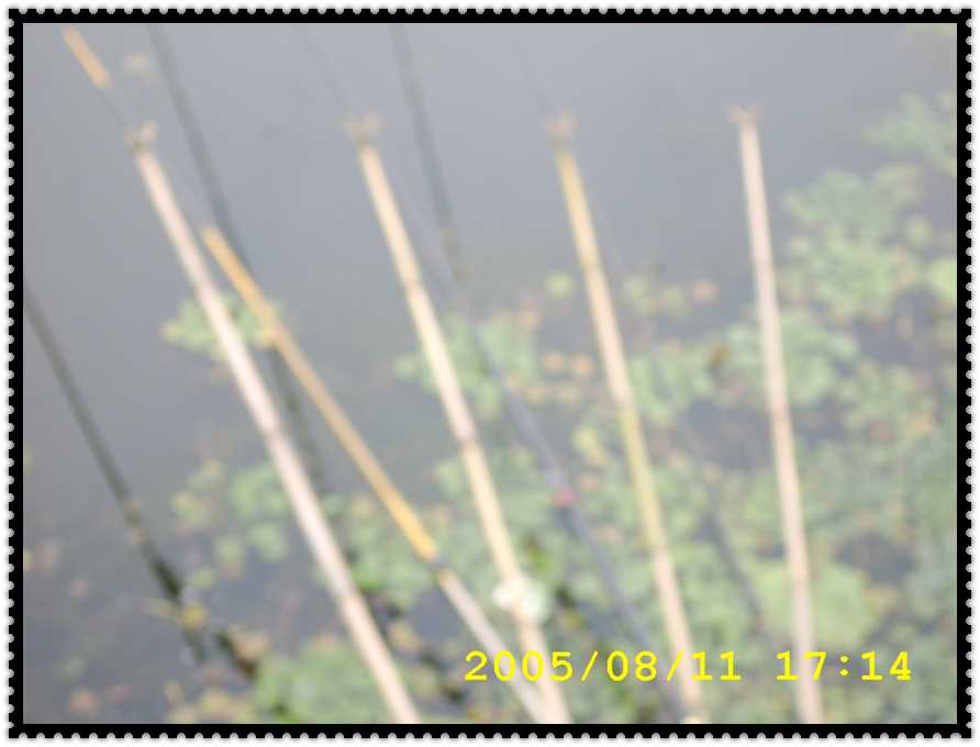 STA70217.jpg