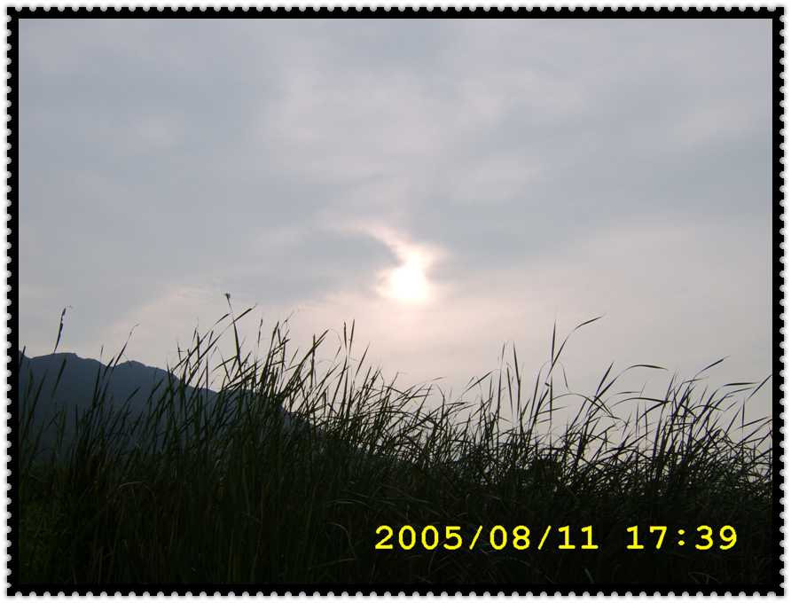 STA70221.jpg