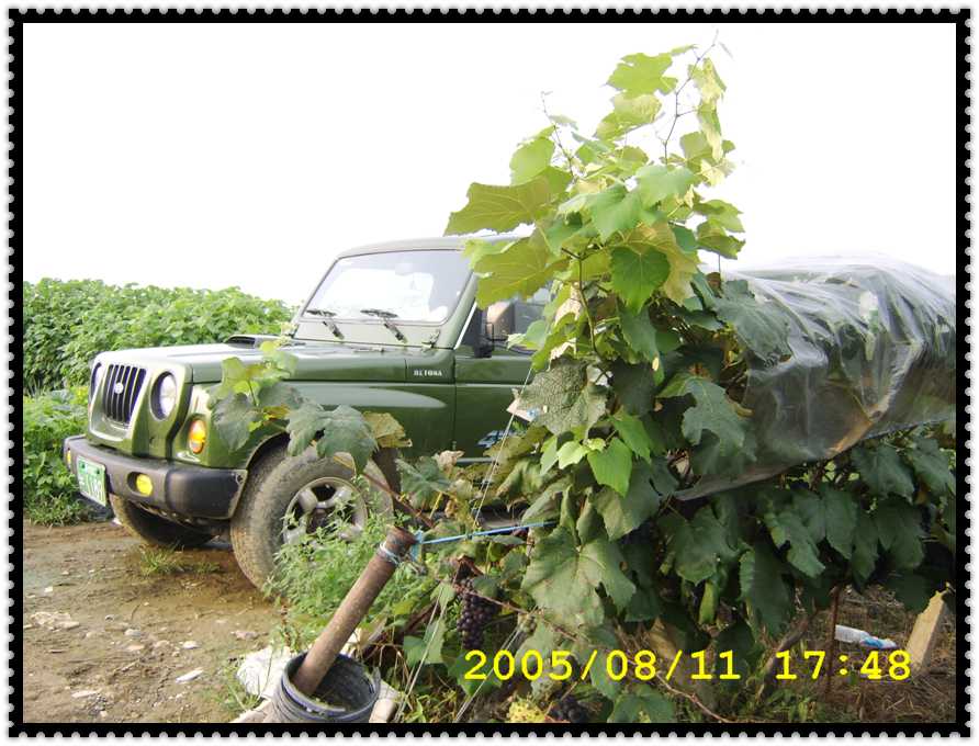 STA70222.jpg