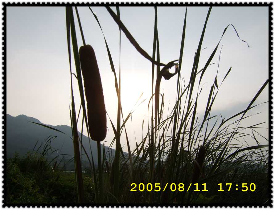 STA70223.jpg