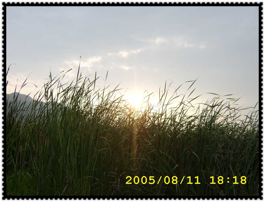 STA70225.jpg