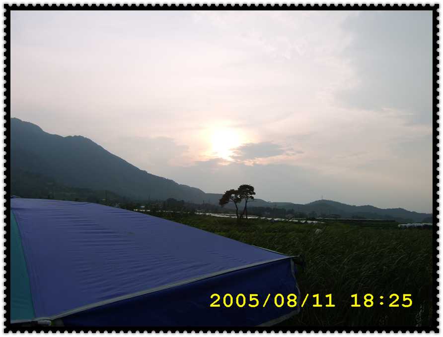 STA70230.jpg