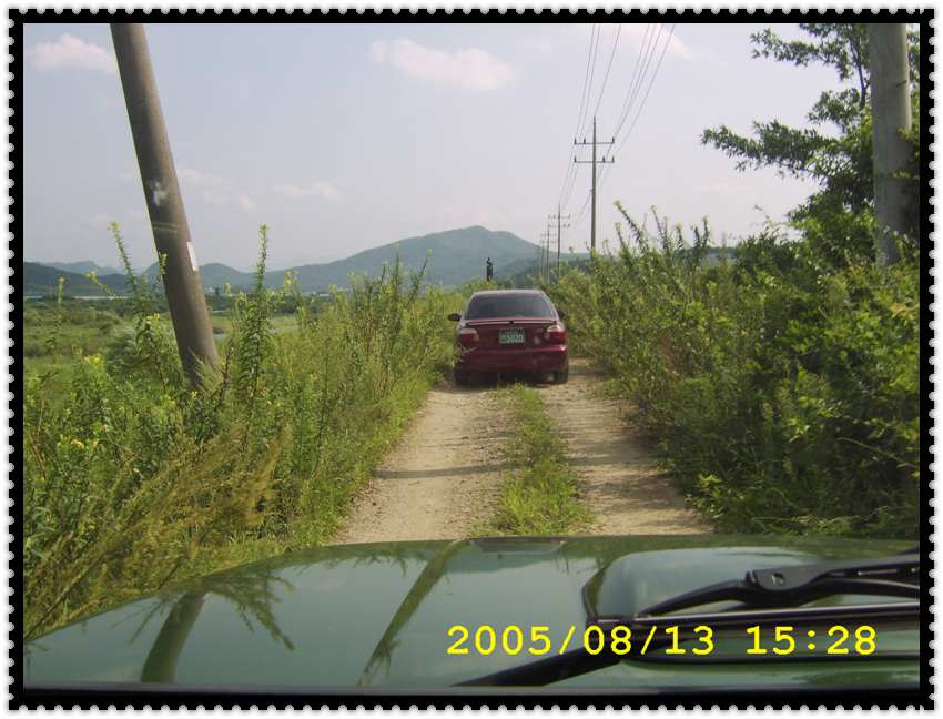 STA70294.jpg