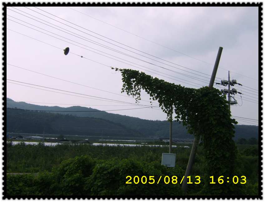 STA70304.jpg