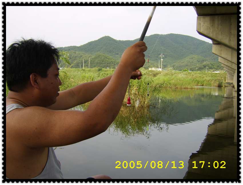 STA70306.jpg