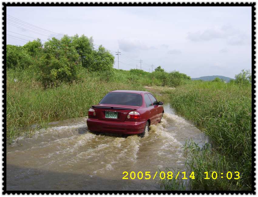 STA70337.jpg