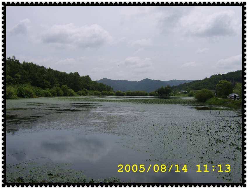 STA70350.jpg