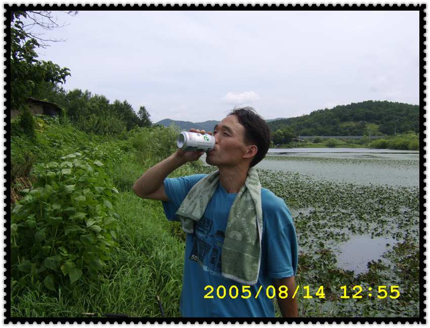 STA70356.jpg