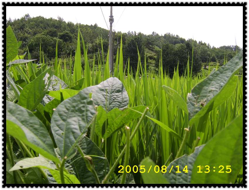 STA70360.jpg