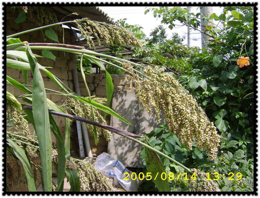 STA70367.jpg