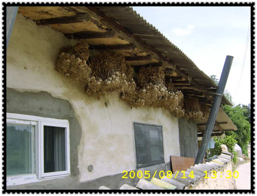 STA70368.jpg