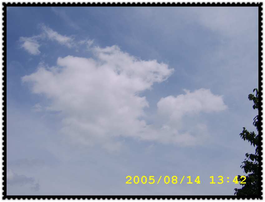 STA70375.jpg
