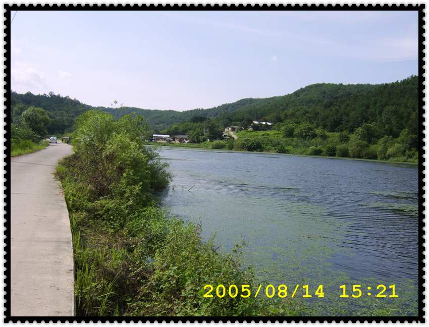 STA70385.jpg
