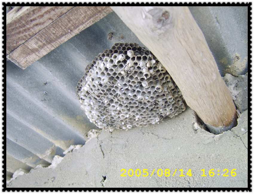 STA70391.jpg