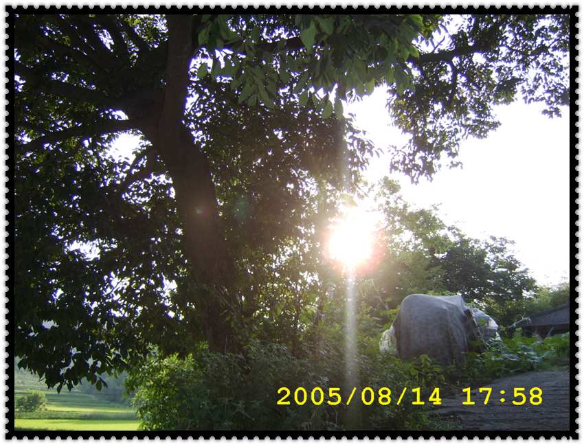 STA70392.jpg