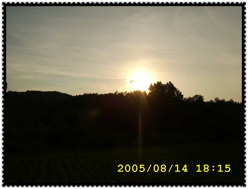 STA70394.jpg