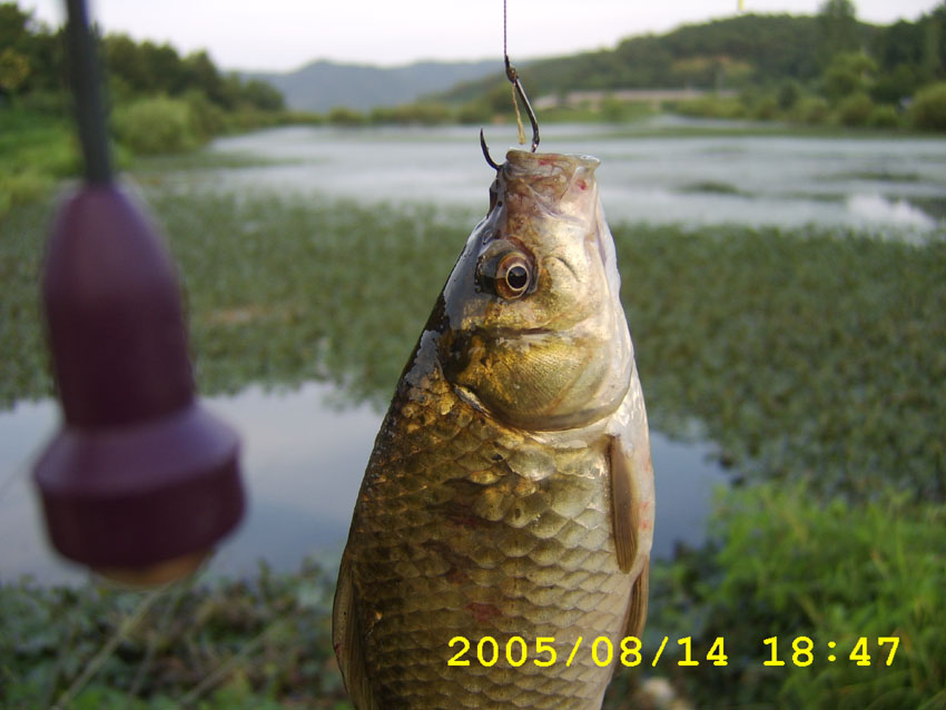 STA70401.jpg