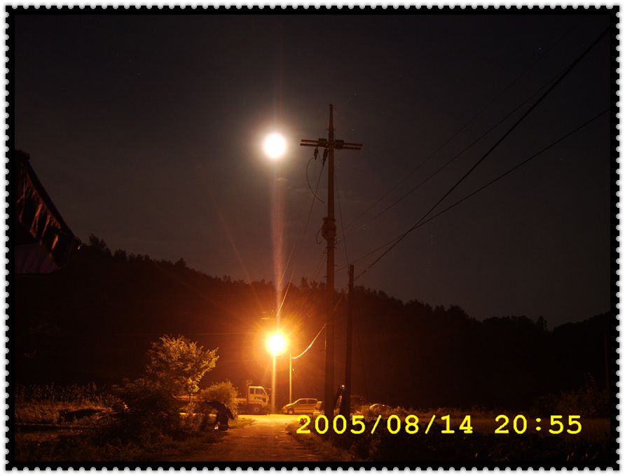 STA70406.jpg