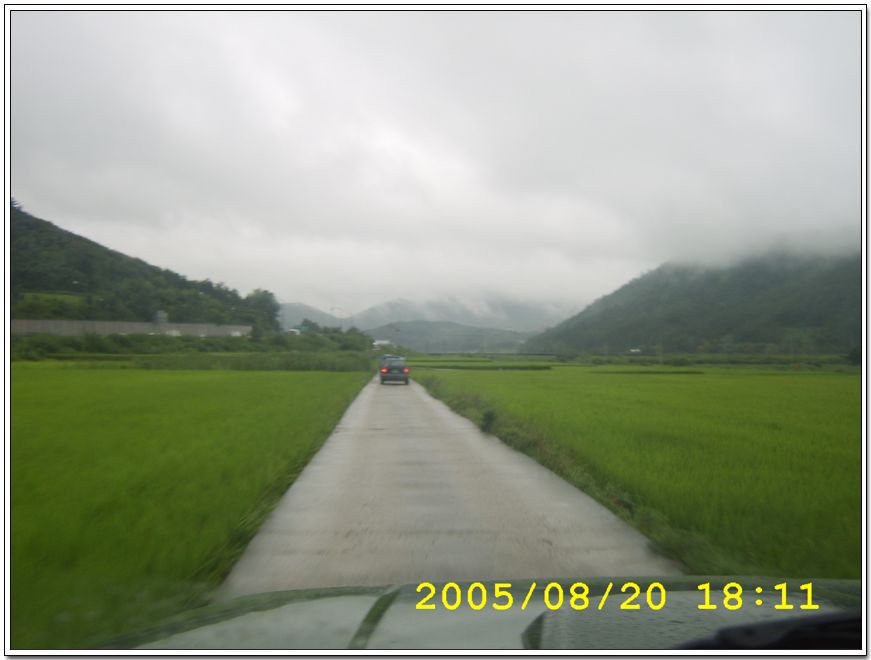 STA70436.jpg