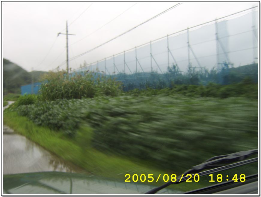STA70450.jpg