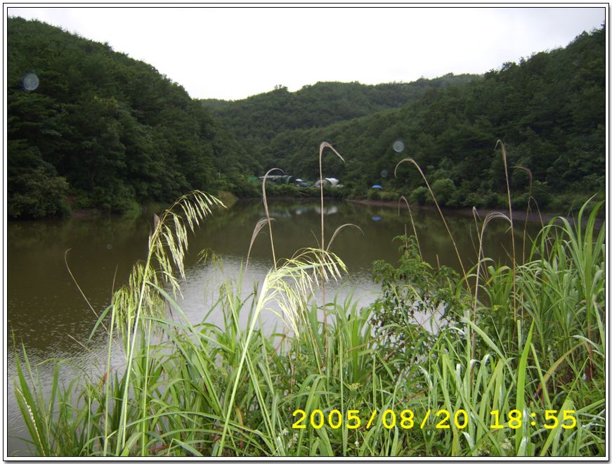 STA70451.jpg