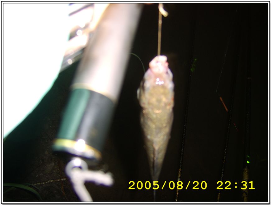 STA70461.jpg
