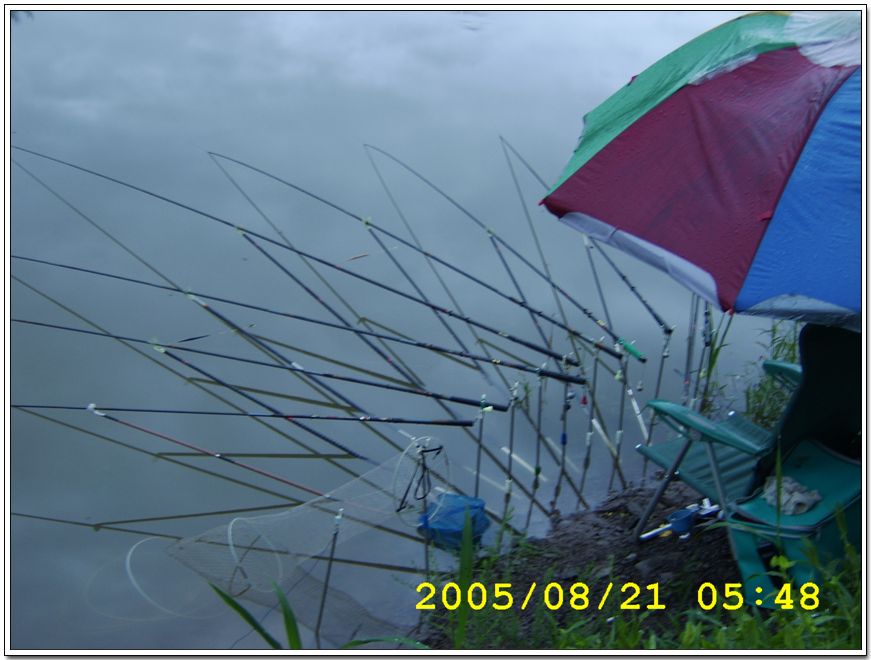 STA70470.jpg