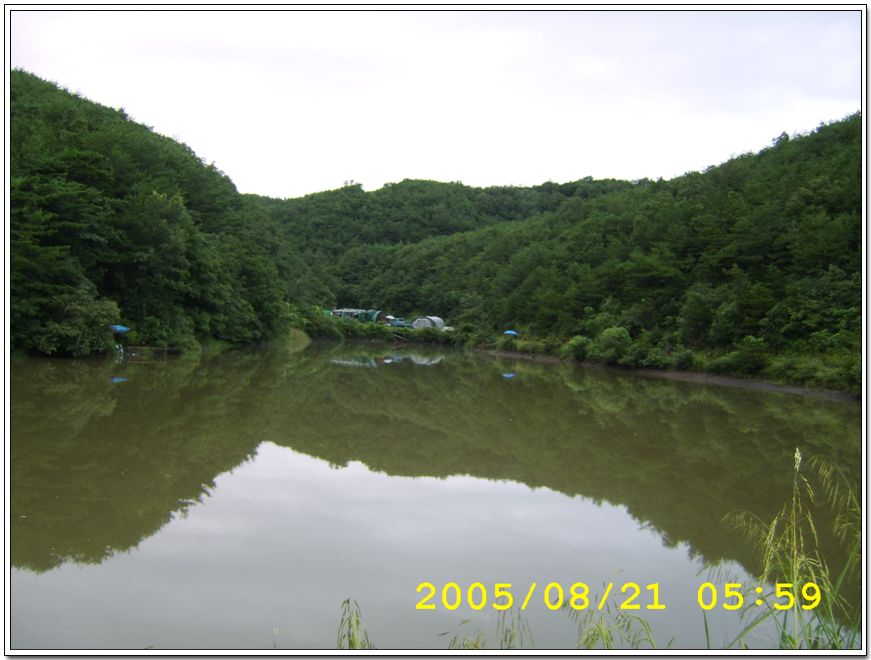 STA70475.jpg