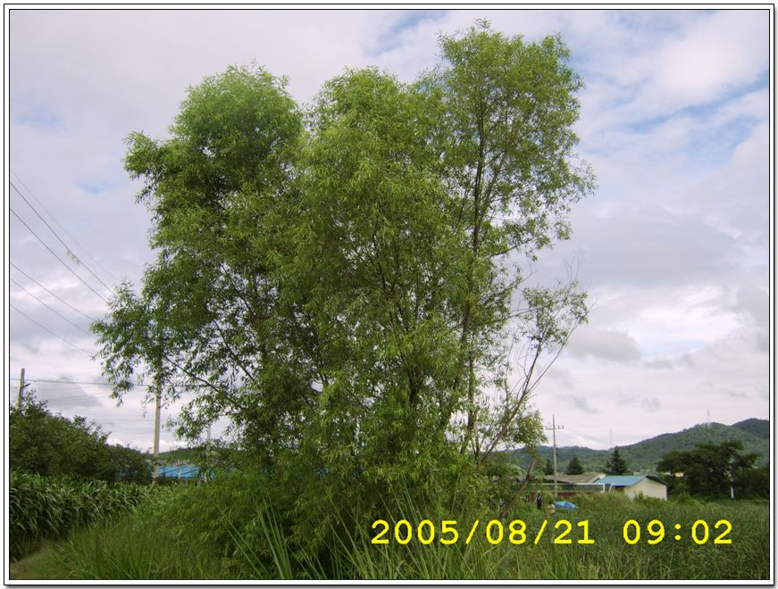 STA70496.jpg