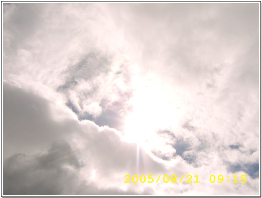 STA70499.jpg